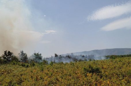 Zjarri mbërrin dhe në fshatin Pacaj (VIDEO)