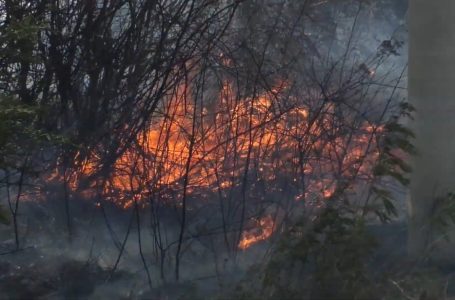 Afro 800 hektarë terene malore dhe fushore janë dëmtuar nga zjarret në komunën e Gjakovës