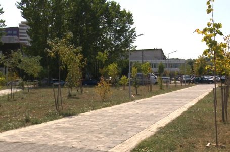 Thatësirat e mëdha kanë ndikuar në pamjen e parkut të qytetit të Gjakovës
