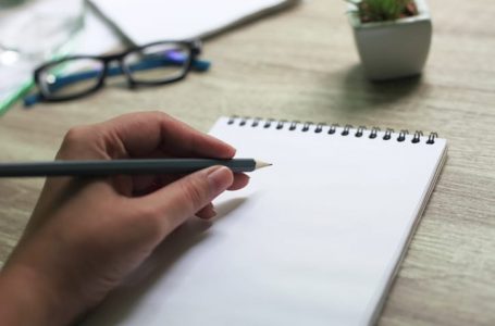 Dita Botërore e Majtakëve, disa fakte interesante rreth tyre