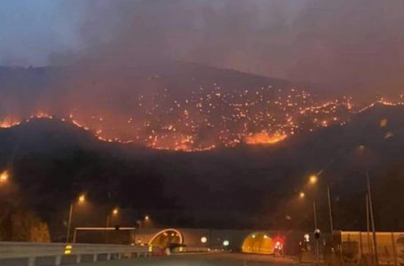 ​Pamje mbi tunelin e Kalimashit, Peleshi falënderon Kosovën