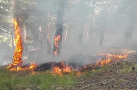 Është shënuar viktima e parë si pasojë e zjarreve në Kosovë