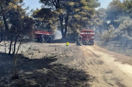 ​BE në ndihmë të Shqipërisë në luftën kundër zjarreve