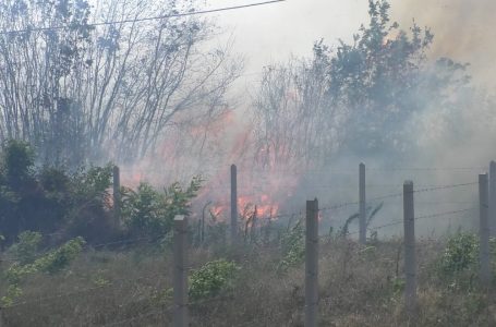 Gjendje alarmante, digjet fshati Nec