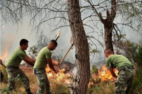 Zjarre në fshatrat e Ferizajit dhe Gjilanit, shkaktohen shumë dëme