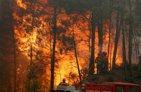 10 vatra aktive të zjarreve në Shqipëri