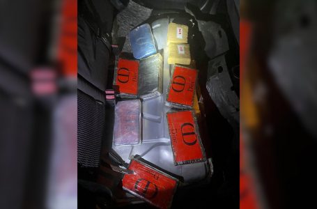 Konfiskohen afër 9 kg kokainë në Vërmicë, arrestohen dy shtetas të Shqipërisë