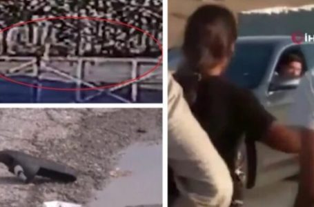 Ish-futbollisti turk i Fenerbahce dhe Besiktas vret një 24 vjeçar dhe plagos katër të tjerë