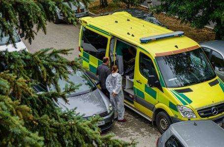 Mosha e 24 viktimave nga COVID-19