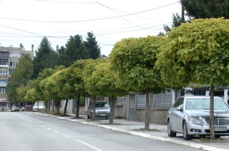 Qytetarët e Gjakovës tregojnë se a duhet ushtruar e drejta e votës me 17 tetor