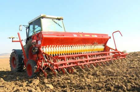 Në komunën e Gjakovës këtë vit planifikohen të mbillen rreth 5 mijë hektarë tokë me grurë