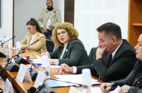 ​Shala thotë se Qeveria shpalli investitor strategjik kompaninë që financoi LVV-në, përgjigjet ministrja Hajdari