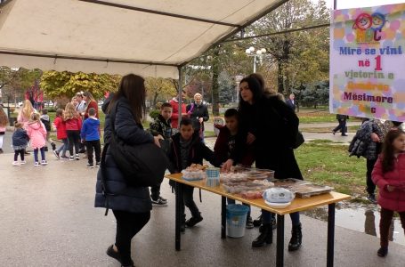 Me aktivitete humane qendra mësimore “ABC” shënoi sot 1 vjetorin e themelimit