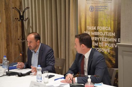 MMPHI dhe MBPZHR bëhen bashkë  kundër vjedhjes së pyjeve në prag të dimrit
