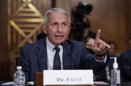 Fauci: Koronavirusi mund të bëhet endemik në vitin 2022