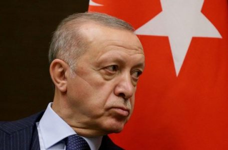 30 persona do të ndiqen penalisht për postimin e mesazheve të rreme për shëndetin e Erdoganit