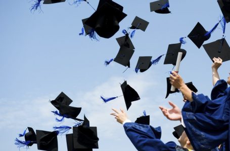 Lista e degëve më shumë dhe më pak fitimprurëse të vitit 2021