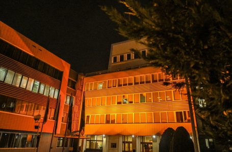 Në Ditën Ndërkombëtare për Eliminimin e Dhunës ndaj Gruas, Presidenca dhe Kuvendi bëhen portokalli