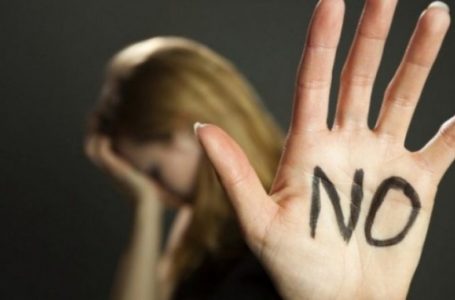 12 raste të dhunës në familje në 24 orët e fundit