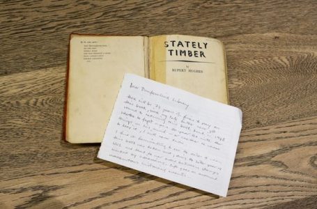 Pas 73 vjetësh rikthen librin në bibliotekë