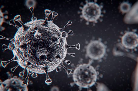 Omicron, varianti i ri i koronavirusit