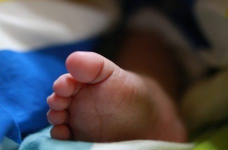 147 foshnje ndërruan jetë sivjet në QKUK