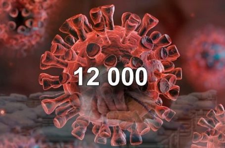 “The Economist”: Të paktën 12 mijë shqiptarë vdiqën për shkak të pandemisë