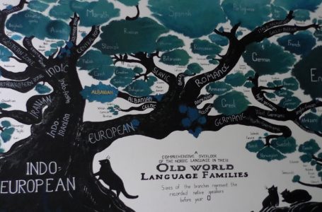 Nxënësit e gjimnazit “Hajdar Dushi” shënuan festën e Pavarsisë me mural dhe ekspozitë