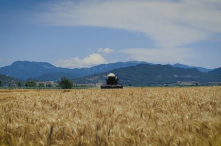 Konflikti Rusi-Ukrainë, efekte edhe në Shqipëri
