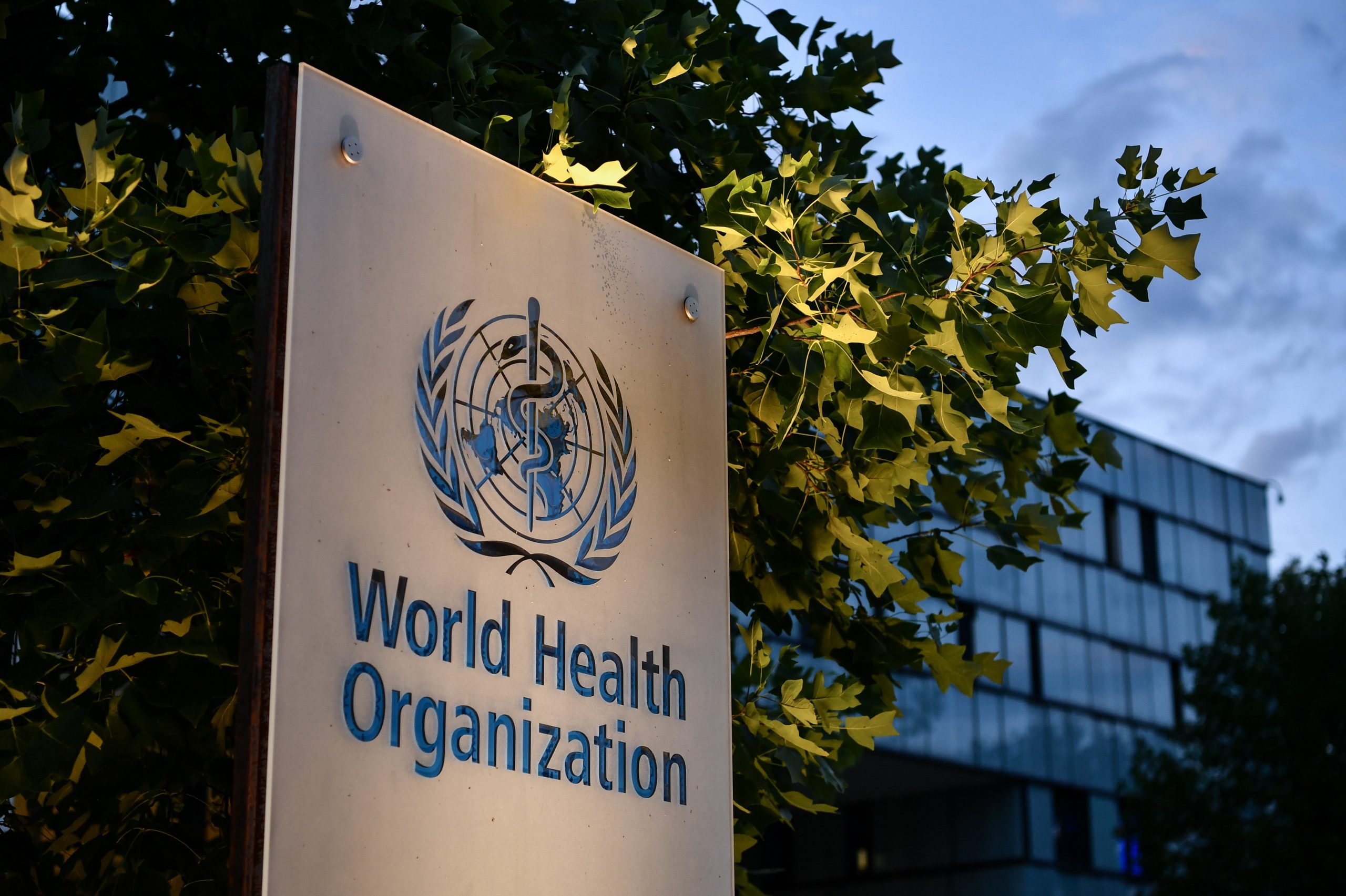 Paralajmëron OBSH: Vendet të përgatiten për pandeminë e ardhshme
