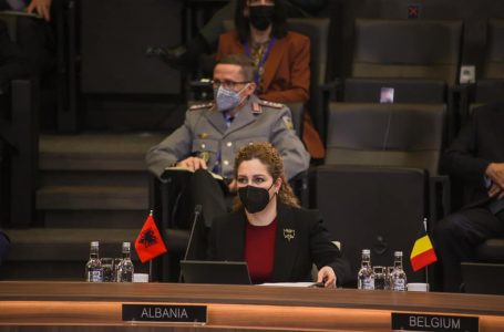 Takimi i jashtëzakonshëm i NATO-s, Shqipëria bën thirrje për të bërë më shumë për çështjen e Ukrainës