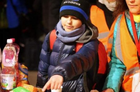 11-vjeçari ukrainas udhëtoi i vetëm 1200 km për një jetë më të sigurt