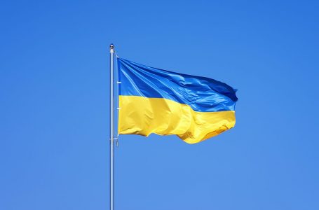 Mbi 66 mijë ukrainasë që jetojnë jashtë vendit, janë rikthyer në vendlindje për të luftuar kundër agresionit rus