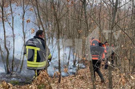 Një pjesë e pyjeve në fshatin Damjan përfshihen nga zjarri (FOTO)