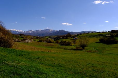 Banorët e fshatit Dol, shembulli më i mirë për kujdesin ndaj mjedisit