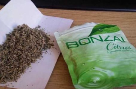 Në Shqipëri mbërrin droga Bonzai, me shkallë rreziku shumë të madh