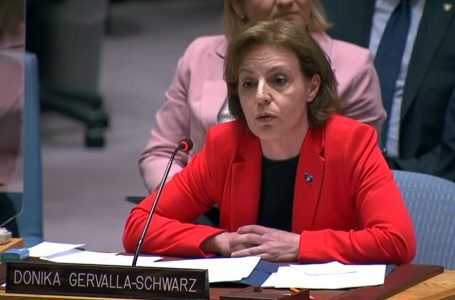 ​Gërvalla përmend rastin e Dick Martyt në seancën e Këshillit të Sigurimit të OKB-së