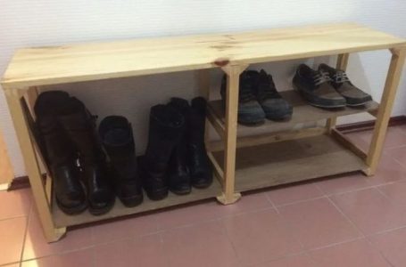 Arrestohet hajni që vodhi disa herë këpucë në korridoret e ndërtesave në Gjakovë