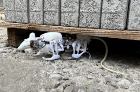 Krijohet miu-robot, do të përdoret për misione specifike