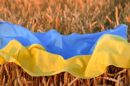 Sulmi rus në Ukrainë mund të shkaktojë krizë globale ushqimore