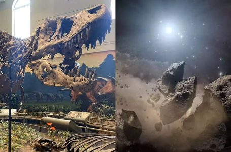 Gjendet një copë e asteroidit që vrau dinosaurët miliona vjet më parë