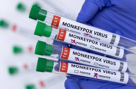 IKSHPK-ja do të blejë një mijë teste për identifikimin e Lisë së Majmunëve