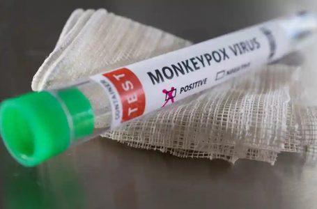 Çfarë dimë për ringjalljen e mpox në Afrikë?