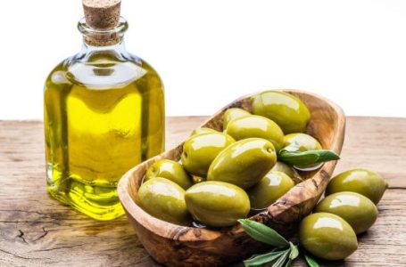 Prodhimi vjetor i vajit të ullirit në Shqipëri, 20 mijë tonë