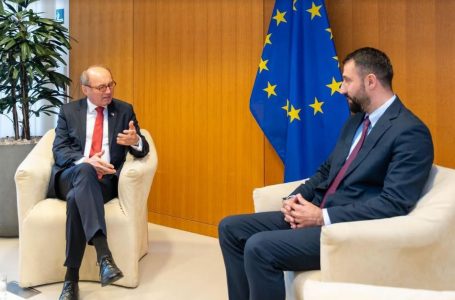 Ministri Krasniqi takon nënkryetarin e parë të Parlamentit Evropian, Othmar Karas