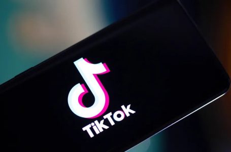 Sfida vdekjeprurëse në “Tik Tok”, 12-vjeçari dyshohet se u mbyt teksa bënte video