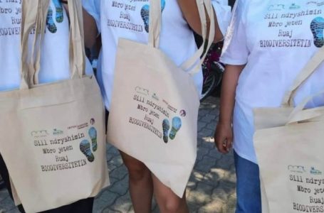 Nga 1 korriku nis zbatimi i gjobave për shitësit që përdorin qese plastike në Shqipëri