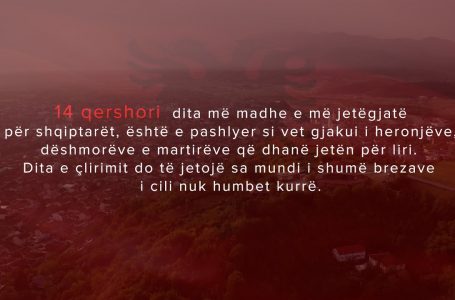DOKUMENTAR – 23 vjet nga Dita e Çlirimit të Gjakovës
