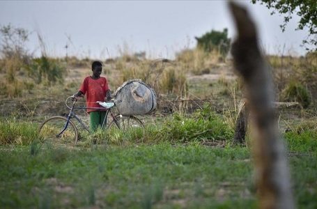 ​OKB: Mbi 800 milionë persona do të përballen me pasiguri ushqimore
