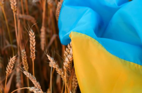 Tre muaj marrëveshje, ku shkoi gruri i Ukrainës?
